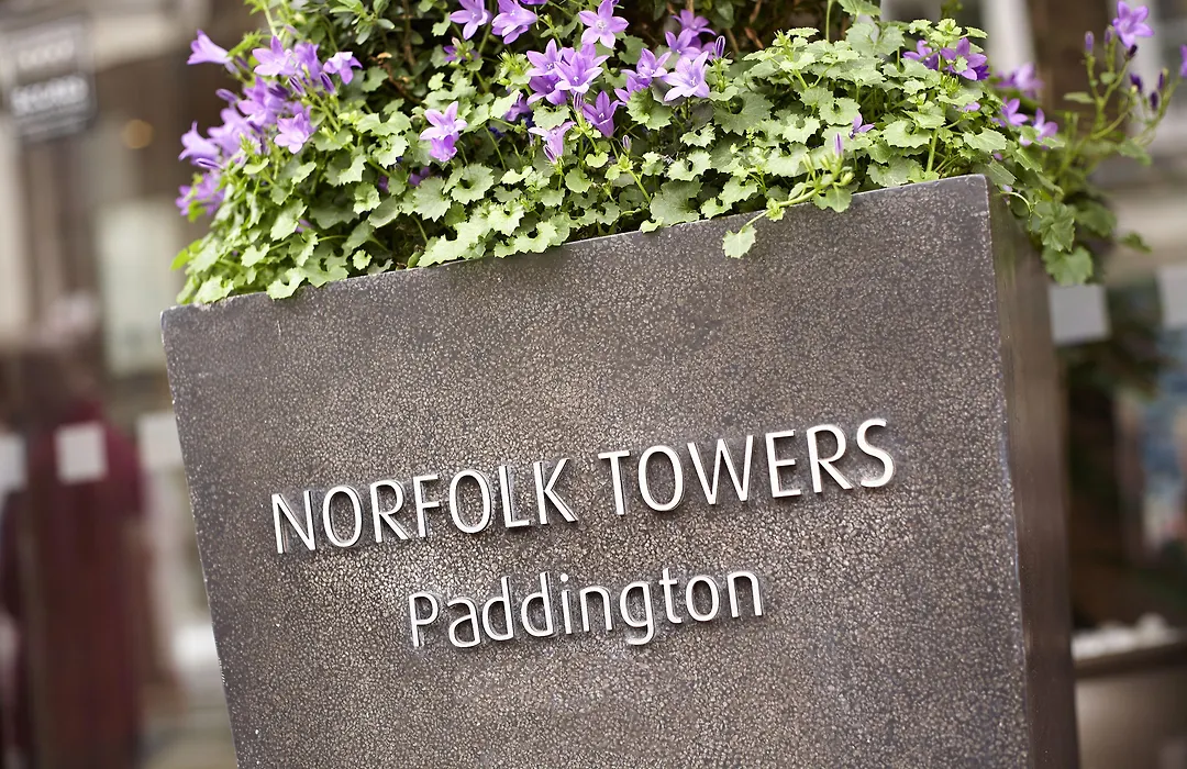 Norfolk Towers Paddington-1